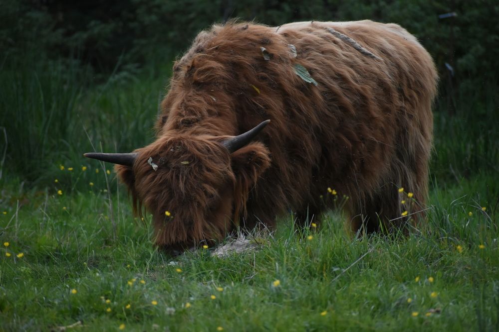 Photograph by Татьяна Крахина