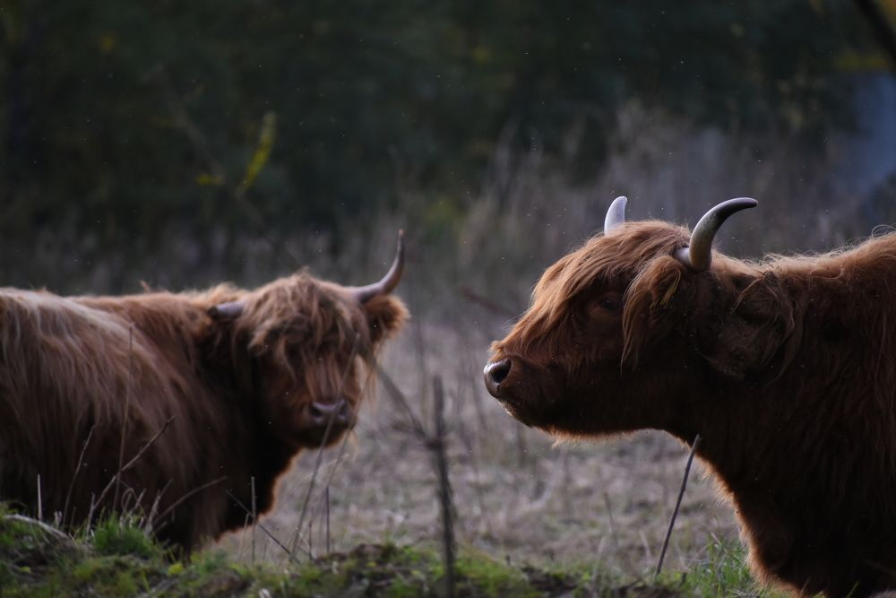 Photograph by Татьяна Крахина