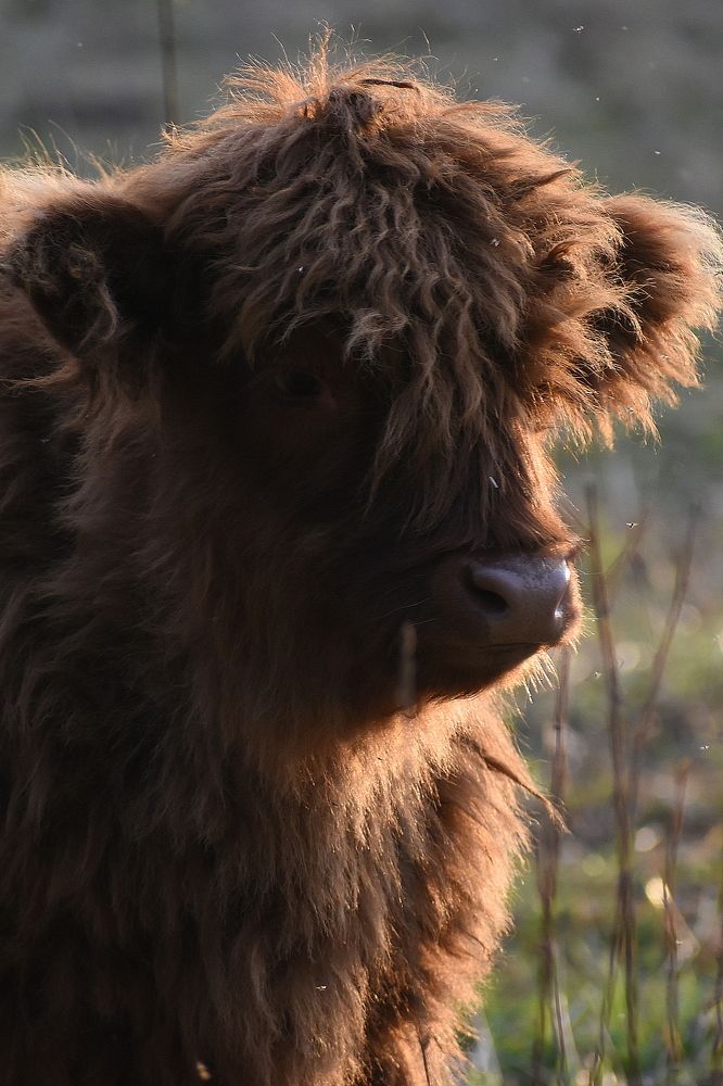 Photograph by Татьяна Крахина