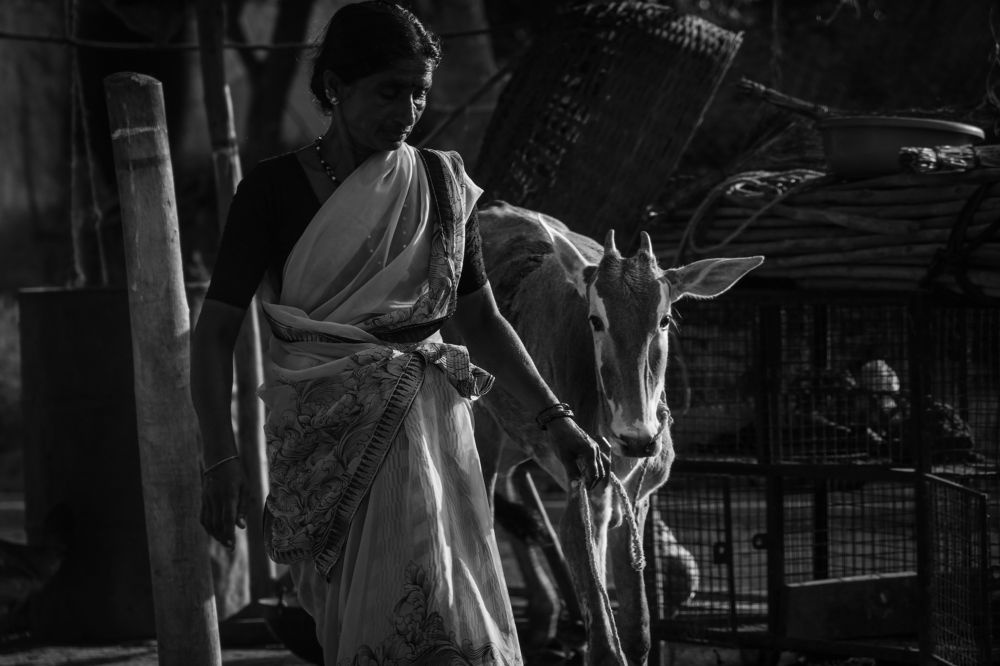 To lead, first learn to follow