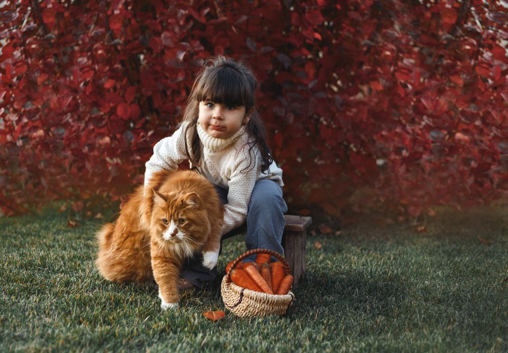 Photograph by Мария Чернявская