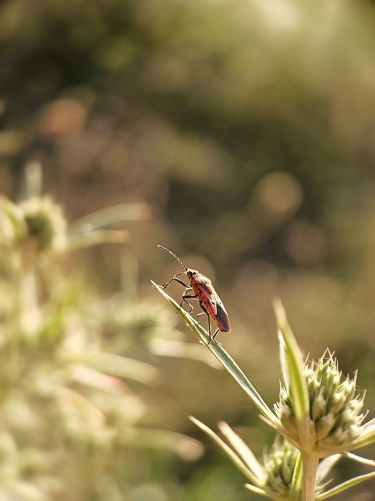 Photograph by Роман Красношапка