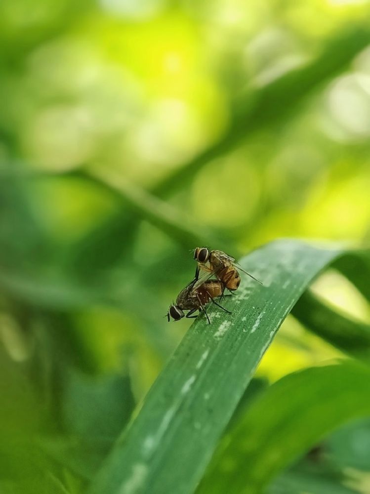 Photograph by Роман Красношапка