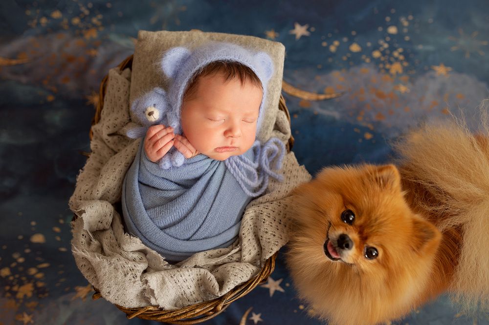 Лучший друг