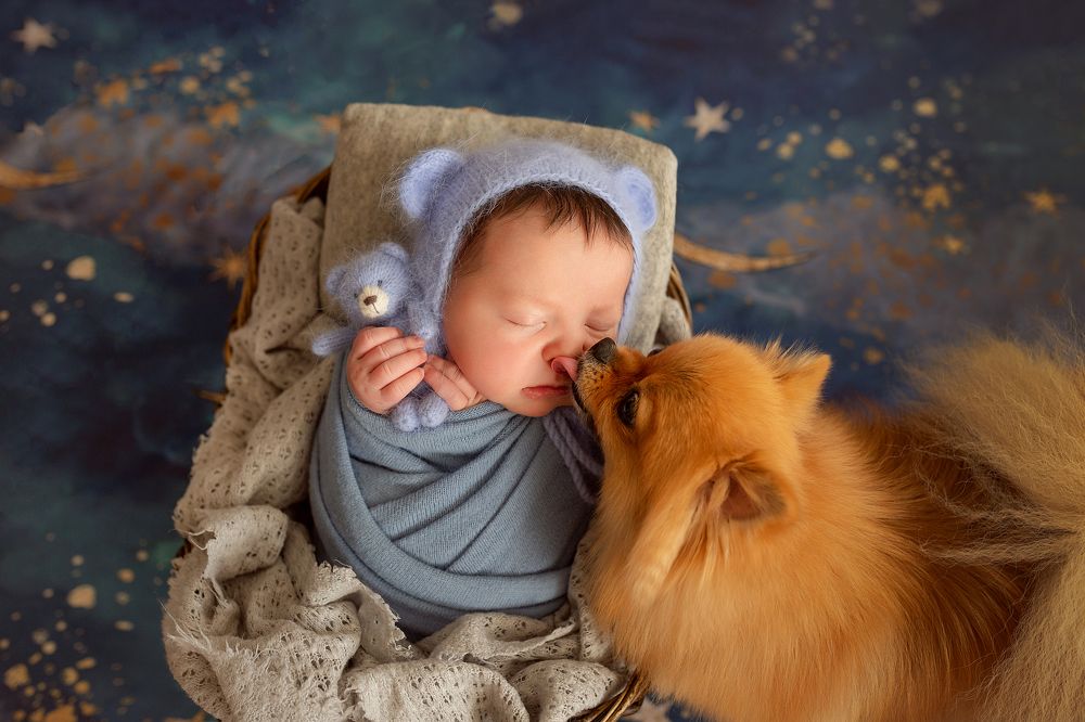 Лучший друг