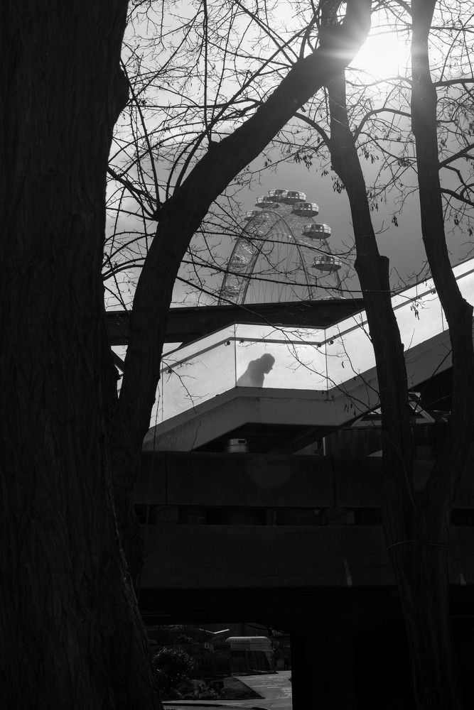 Photograph by Laszlo Komaromi