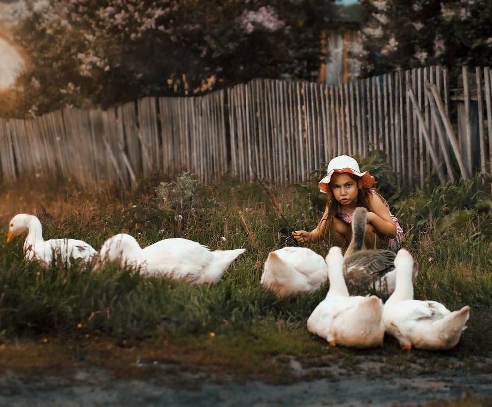 Photograph by Ирина Резнюк