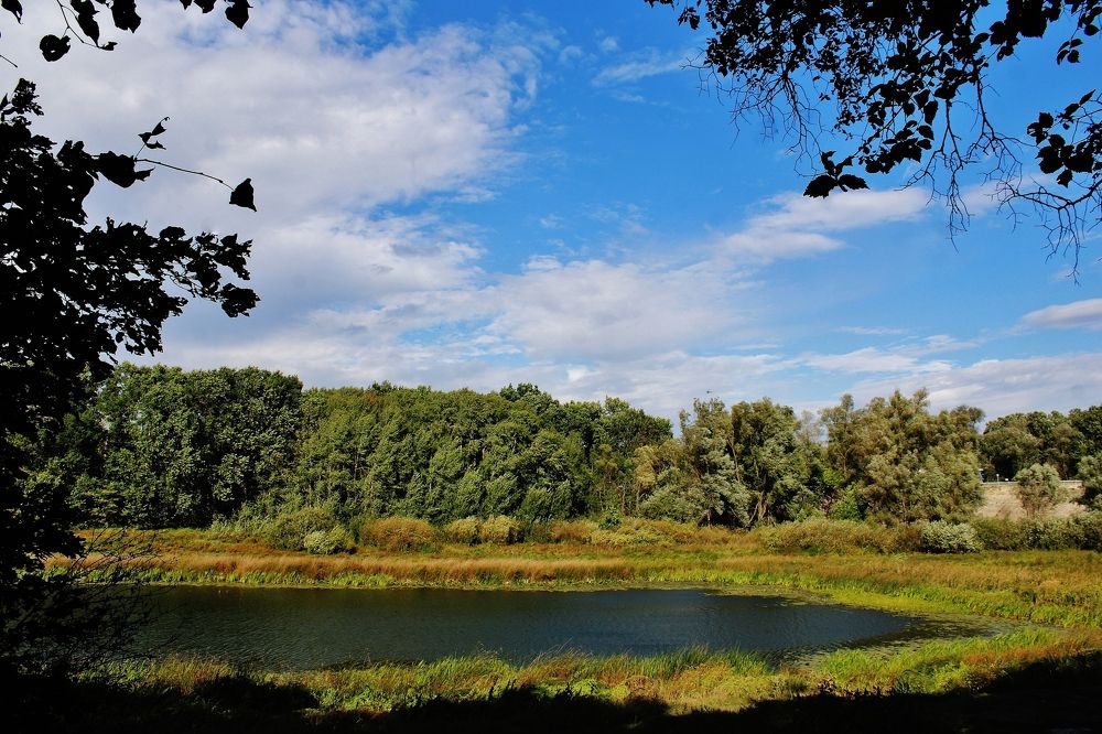 Приток реки Хопёр.