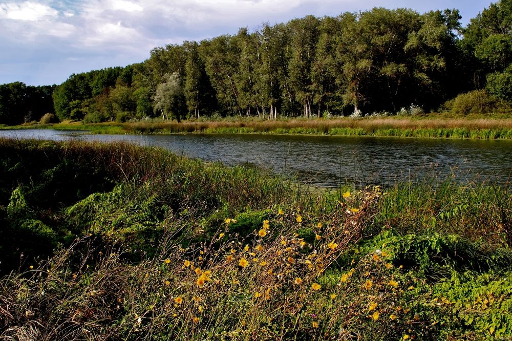 Осень на Хопре.