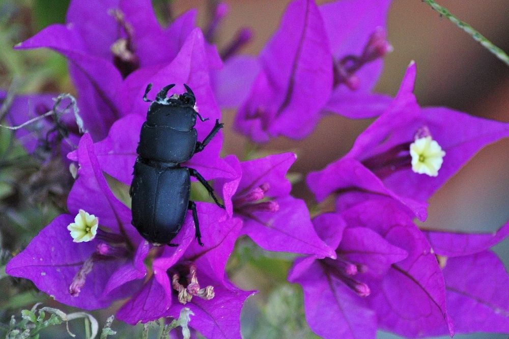 Photograph by Анна Восковых