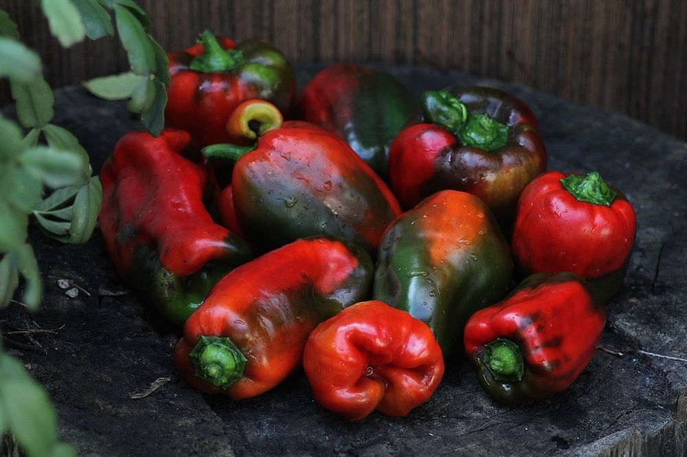 Photograph by Анна Восковых