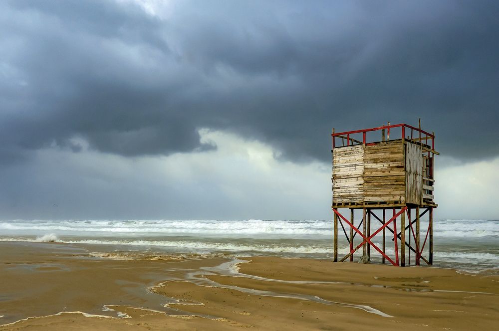 Photograph by Fathi Ibrahim