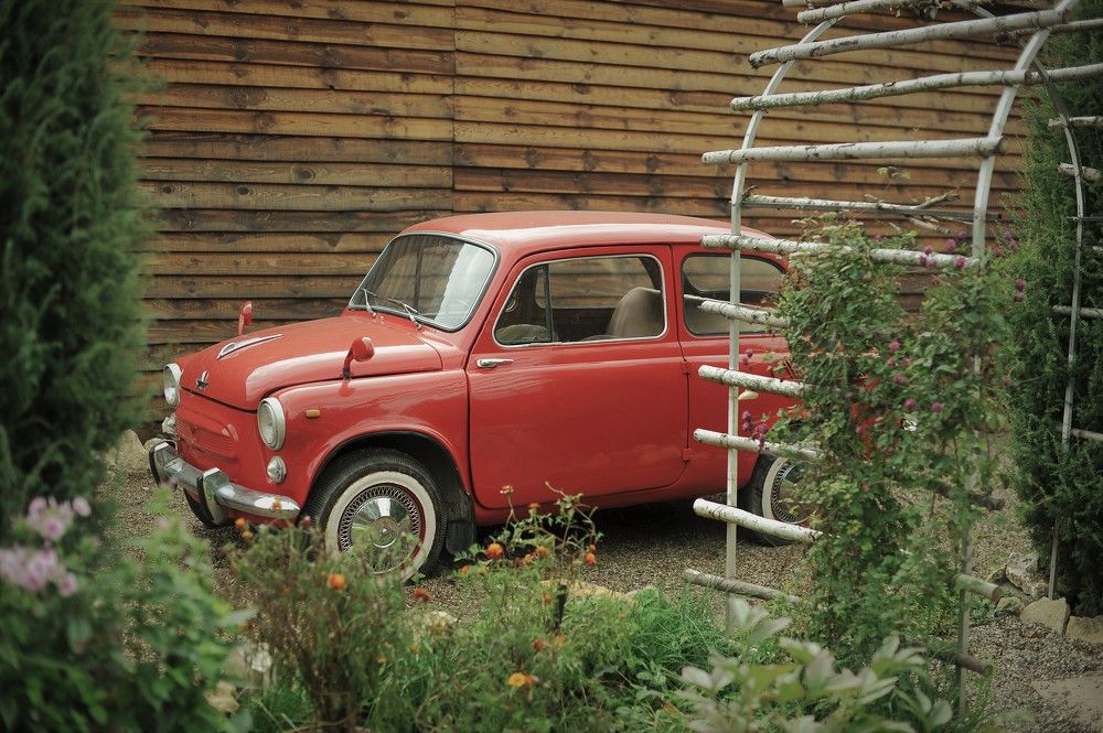 Фотография автора Ольга Пушленкова