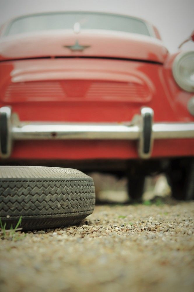 Фотография автора Ольга Пушленкова