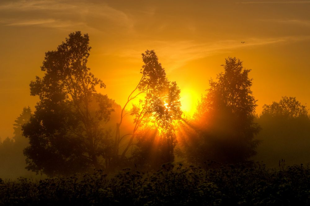 Photograph by Андрей Зуев