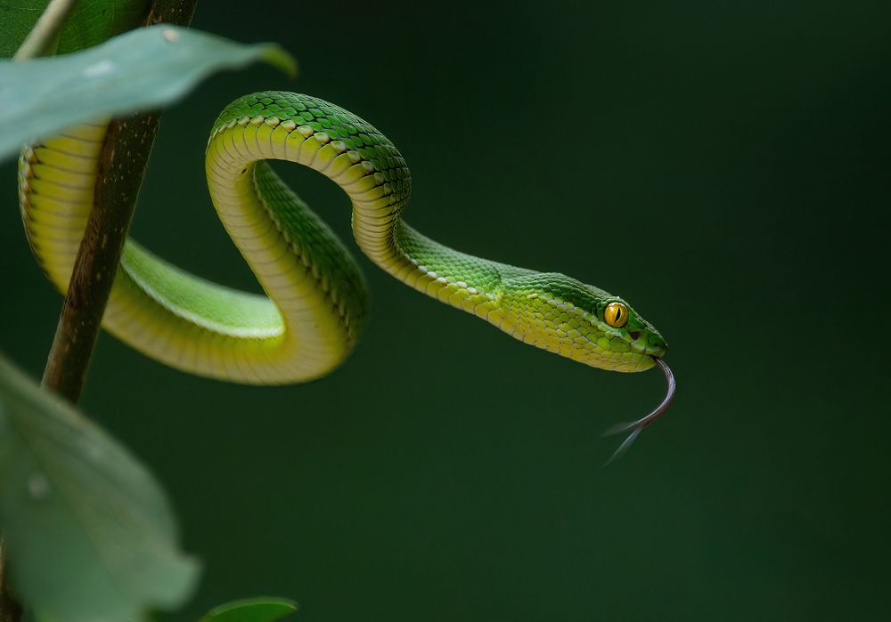 Photograph by Mahmud Hasan