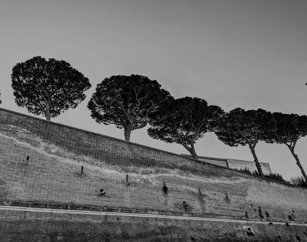 Photograph by Olha Kolesnykova