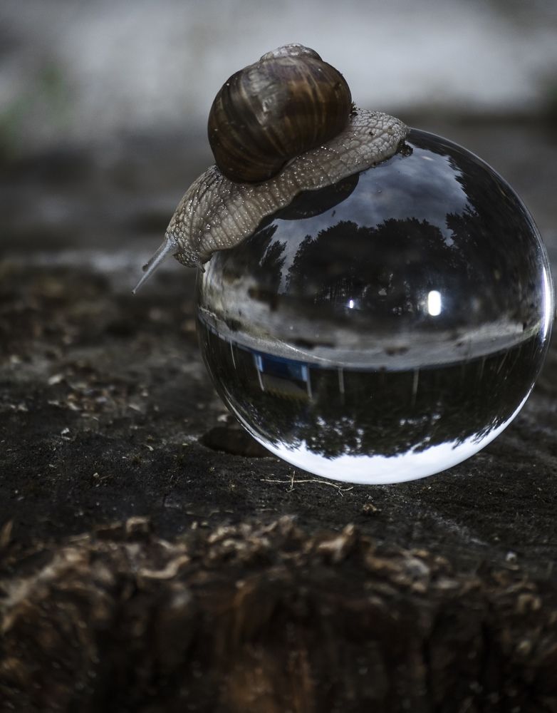 Photograph by Андрей Емельянов