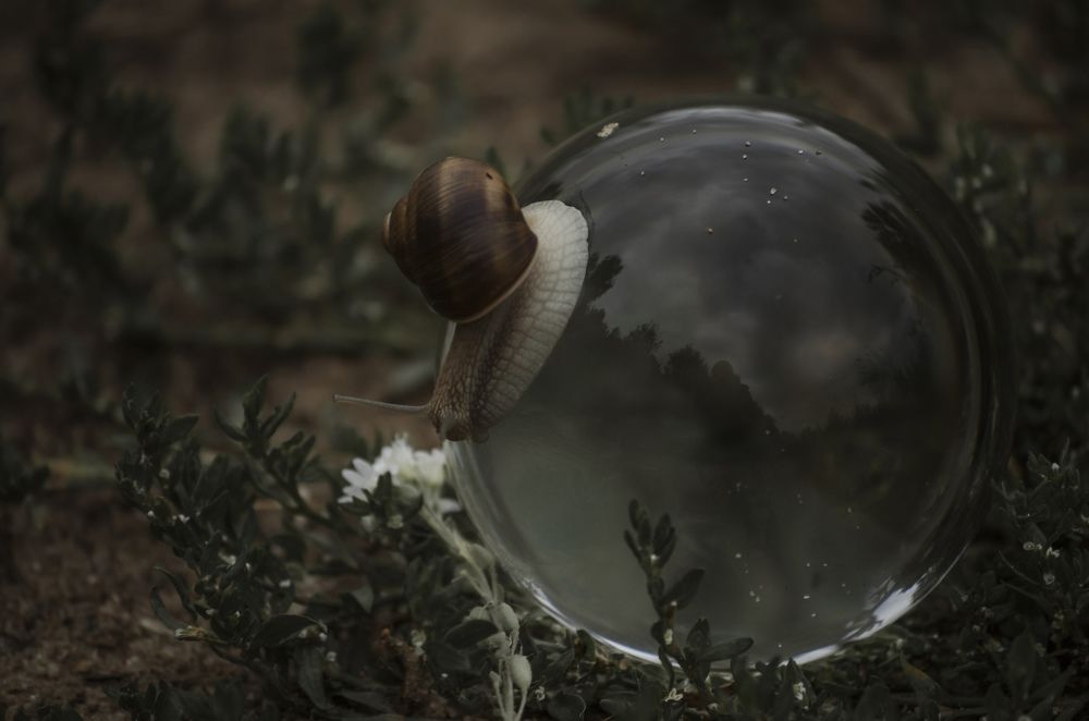 Photograph by Андрей Емельянов