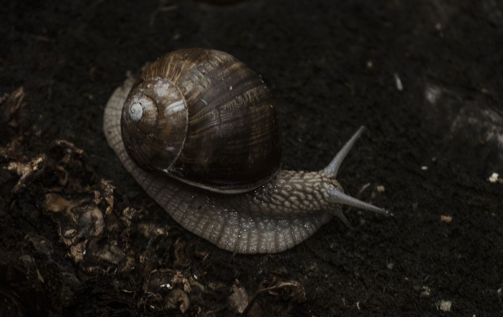 Photograph by Андрей Емельянов