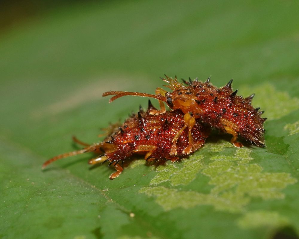 Photograph by Dantale Ajinkya