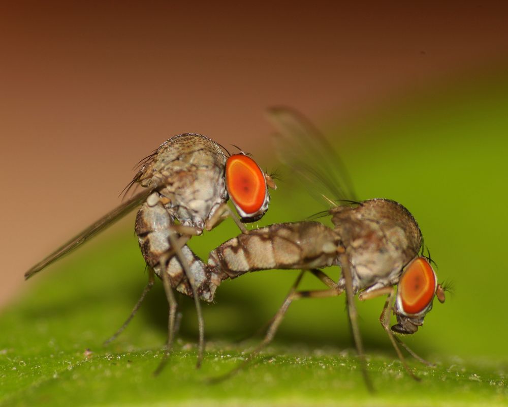 Photograph by Dantale Ajinkya