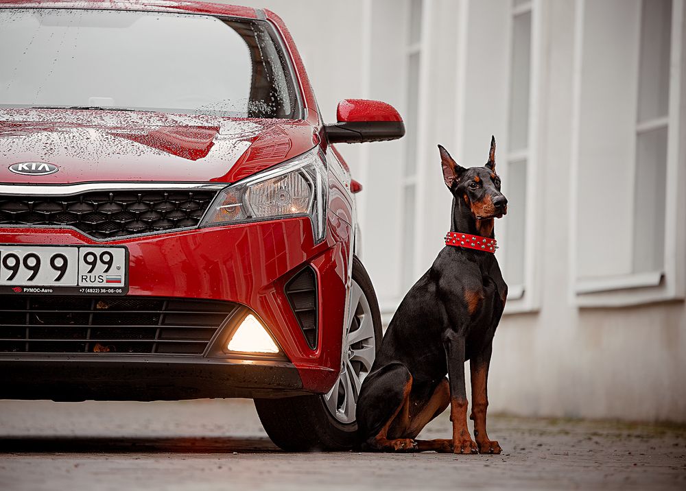 Photograph by Анна Григорьева