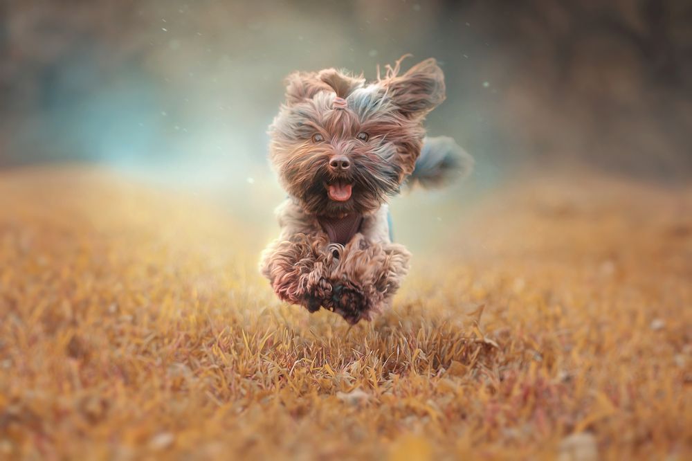 Фотография автора Евгения Тузова