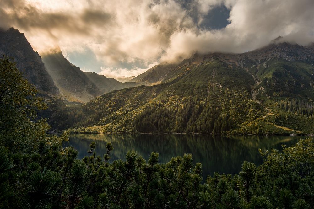 Фотография автора Csépe Róbert