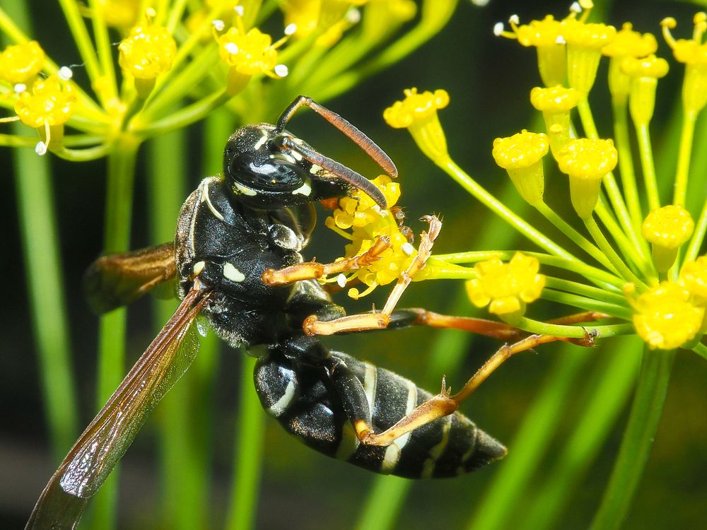 Photograph by Евгения Чепурная