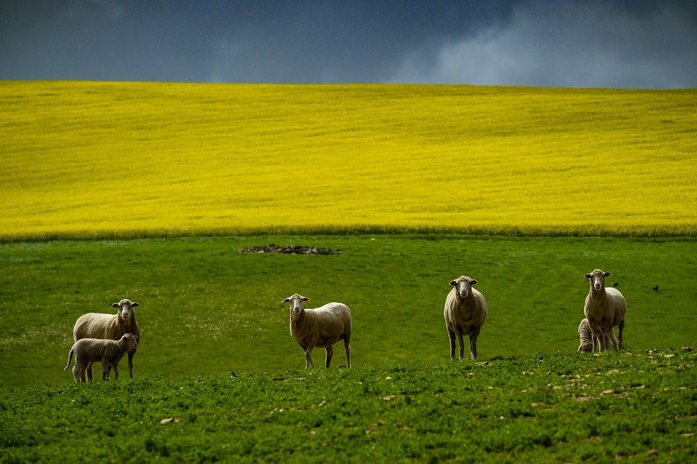 Photograph by Eric Miller