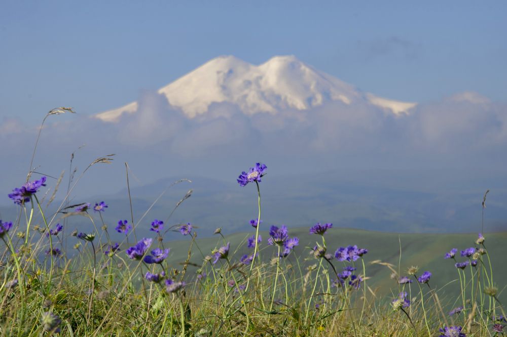 Photograph by Марина Алина