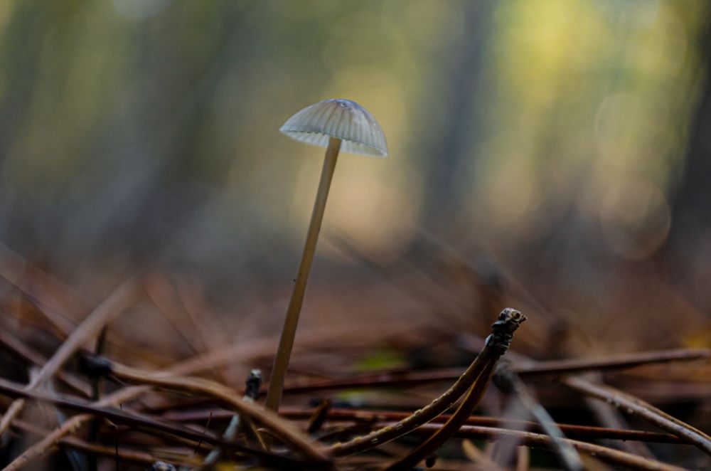 Photograph by Oleg Yashin