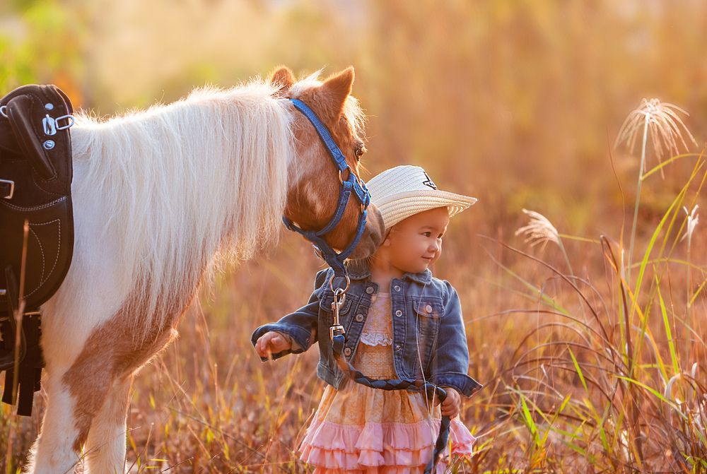 Маленький ковбой