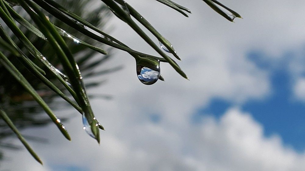 Photograph by Людмила Колеватова