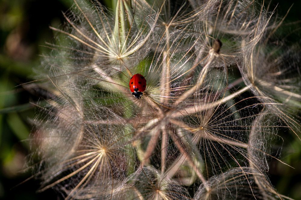Photograph by Евгений Еськов