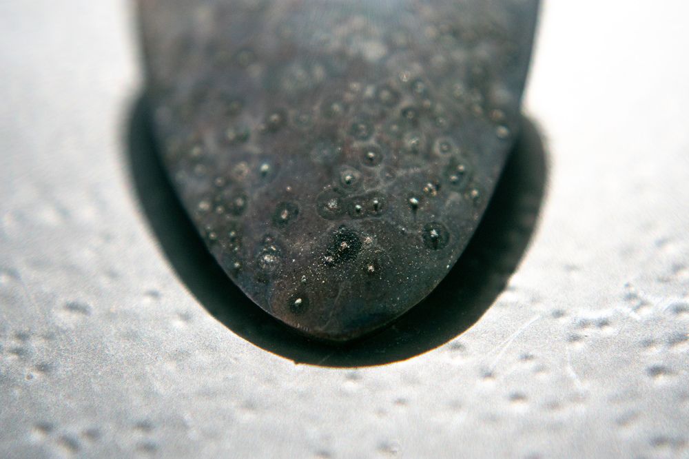 Photograph by Lindsay Panchuk