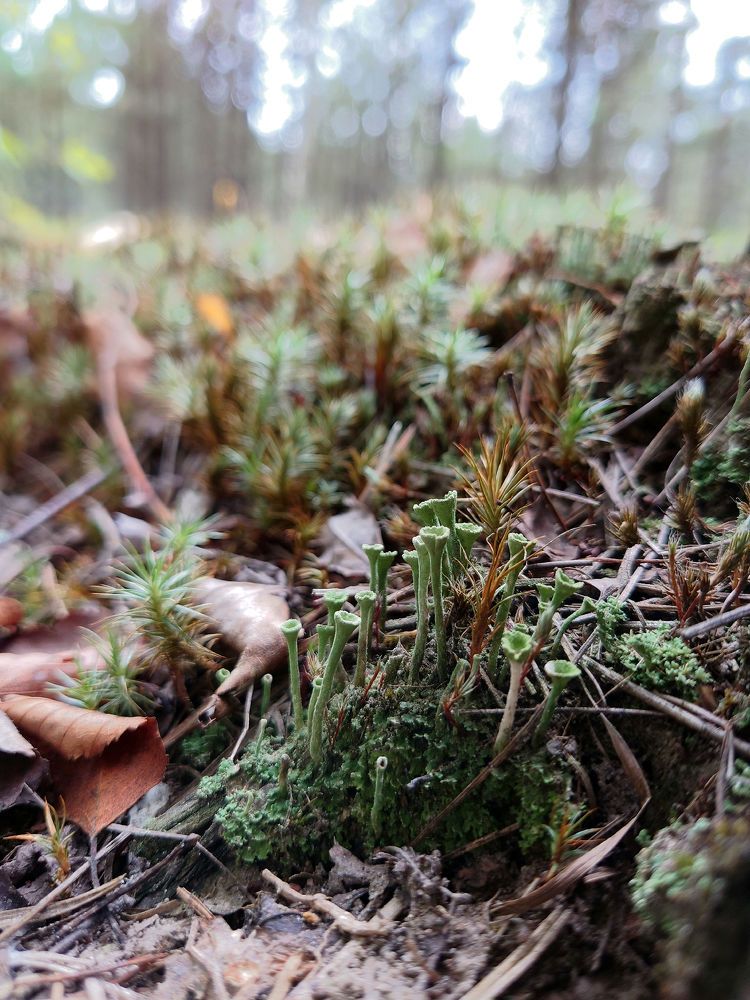 Photograph by Юрий Сычев