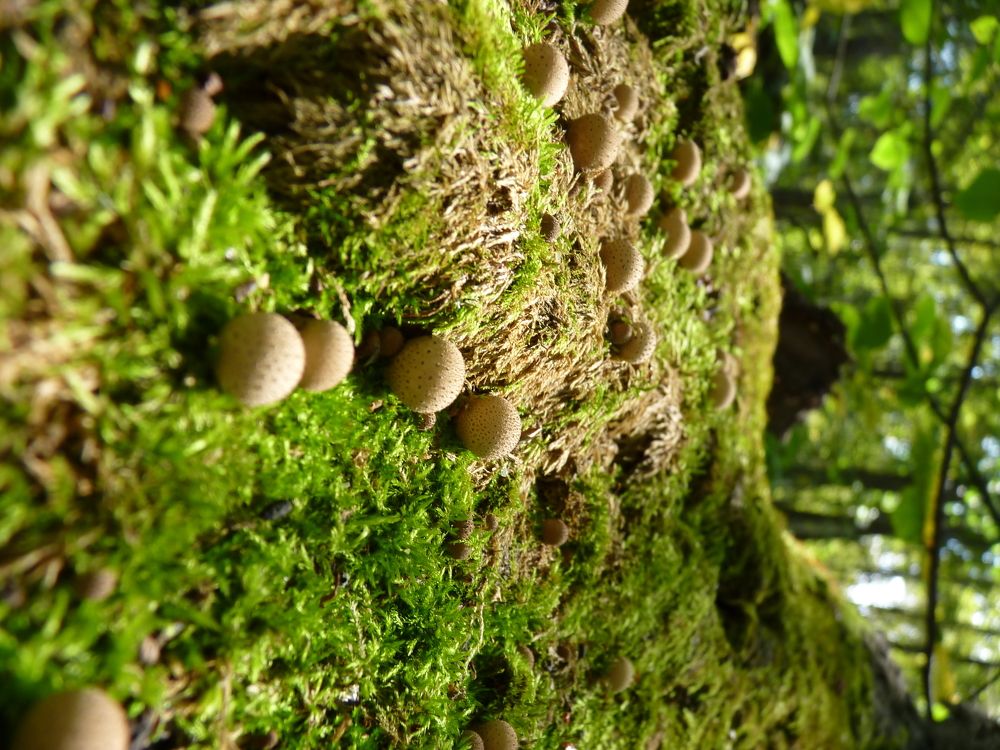 Photograph by Юрий Сычев