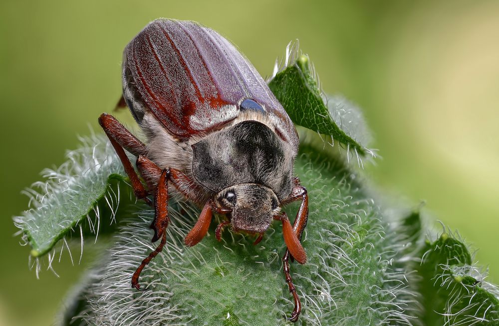 Photograph by Андрей Зимин