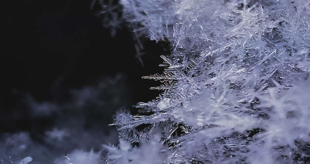 Photograph by Valentina