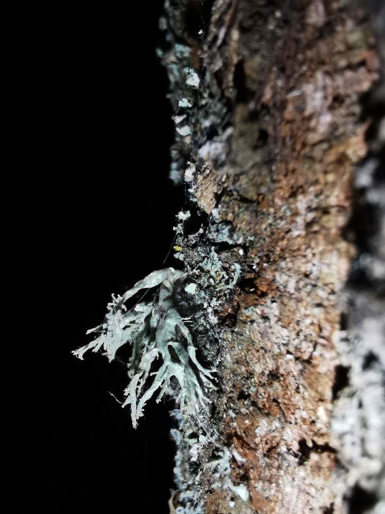 Photograph by Valentina