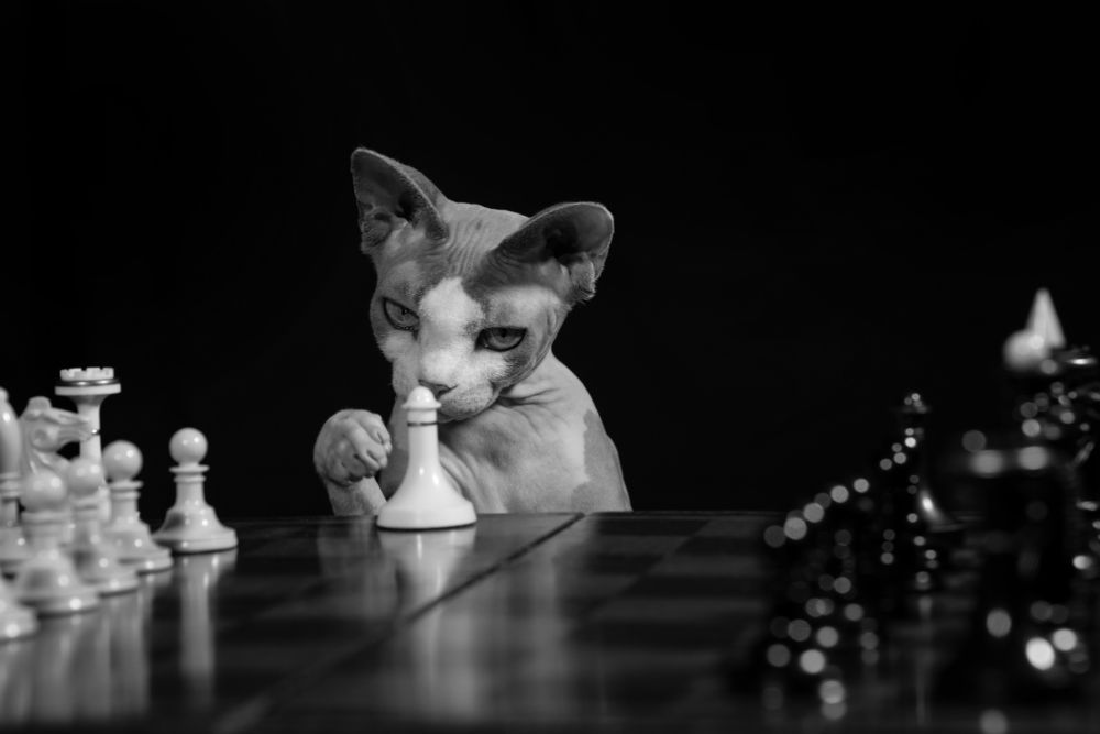 Photograph by Ольга Власенко