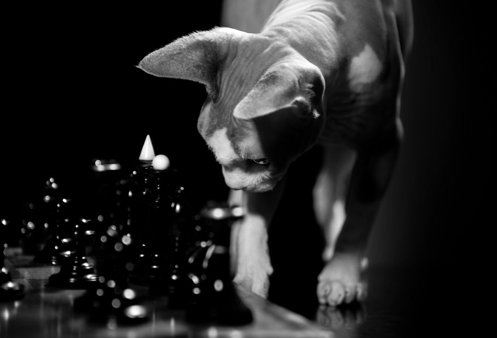 Photograph by Ольга Власенко