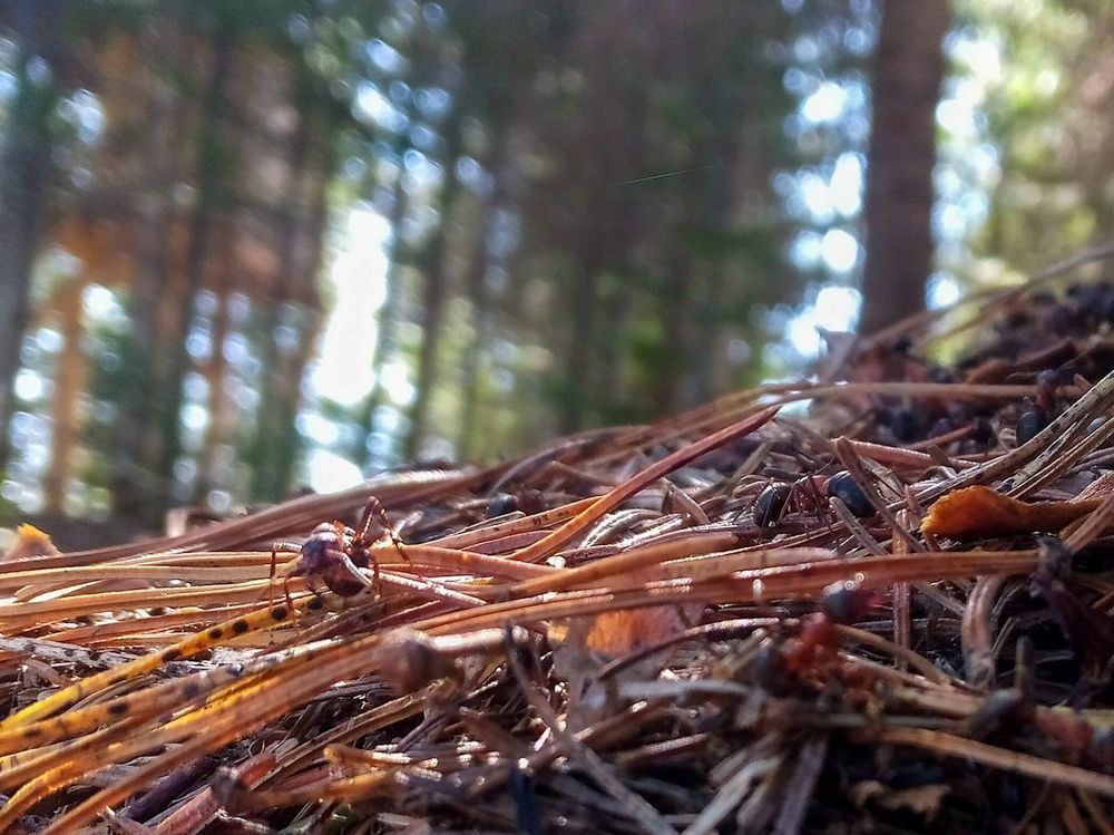 Photograph by Каси Тэн