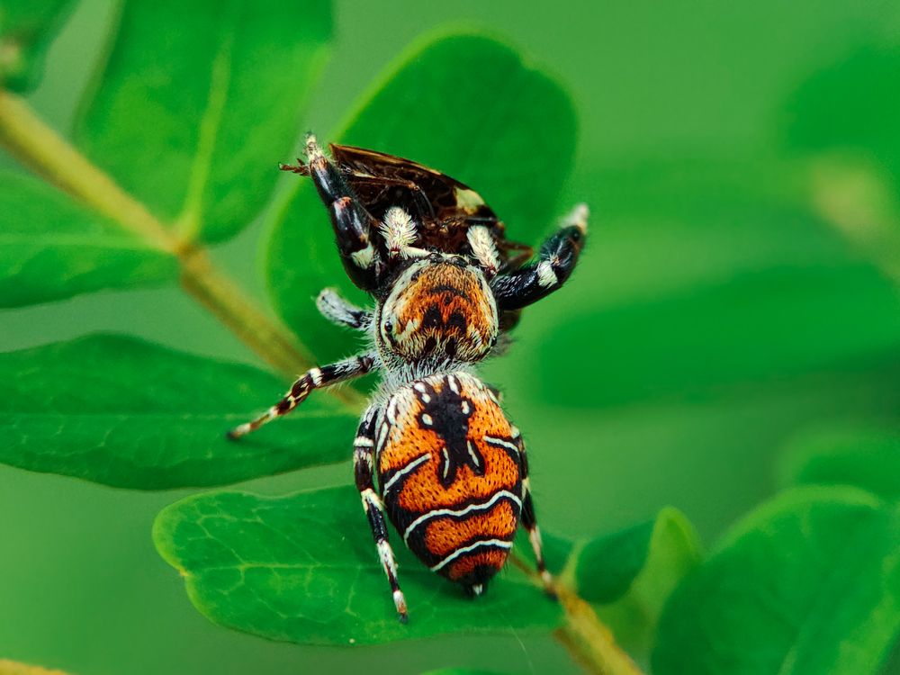 Photograph by Mehedi Hasan Shawan