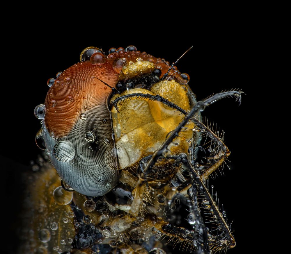 Photograph by Dhruv Shilpi