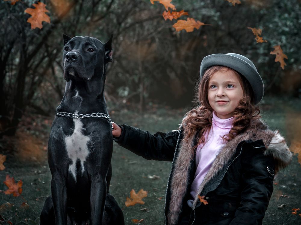 Photograph by Ольга Остапенко