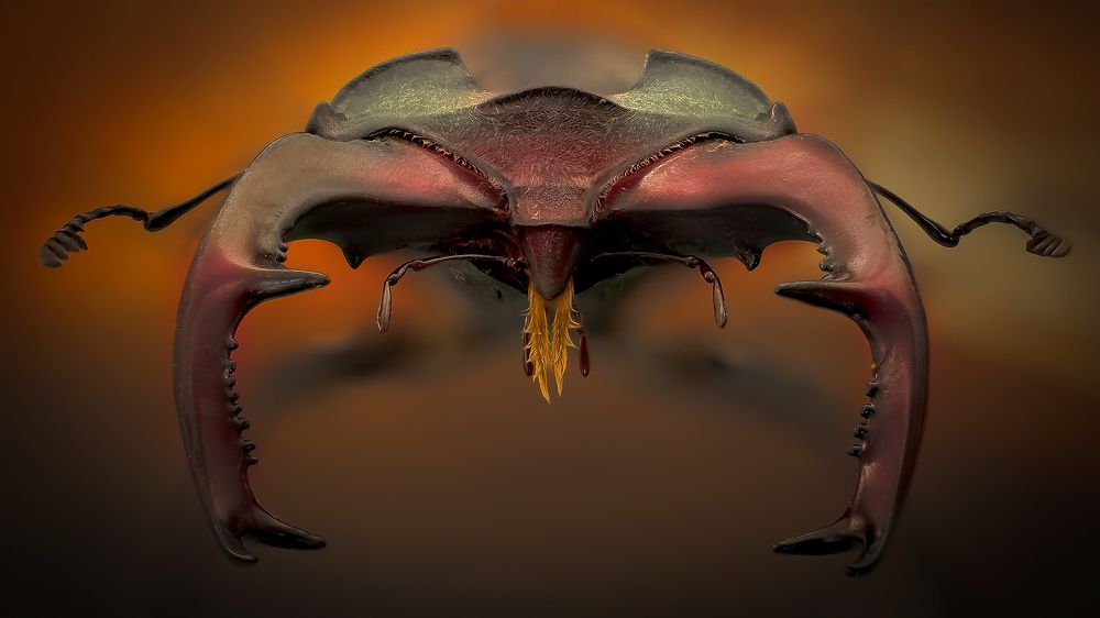 Photograph by Eugenijus Kavaliauskas