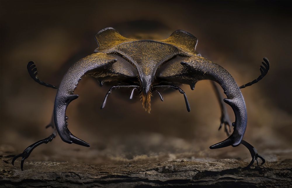 Photograph by Eugenijus Kavaliauskas